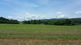 41.8 Hwy 127, Pikeville, TN 37367